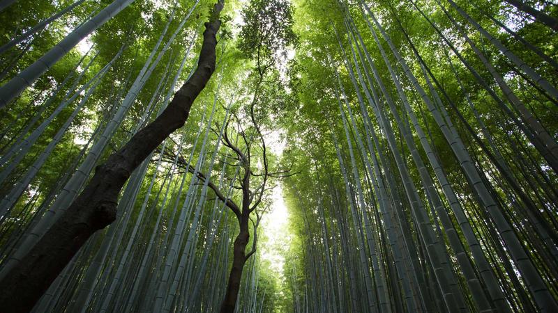 清华MBA意昂4平台