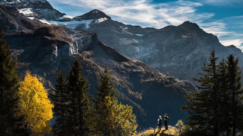 清华MBA意昂4平台